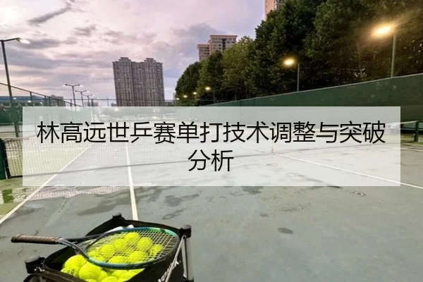 林高远世乒赛单打技术调整与突破分析